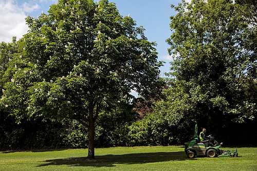 ‘Gardening While Black:’ Man Wins Case as Judge Tosses Charges Brought by Three White Women Who Tormented Him for Months