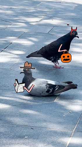 Trick or treat