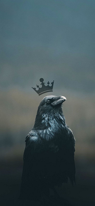 THE HERO..... THE KING.