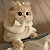 Post: